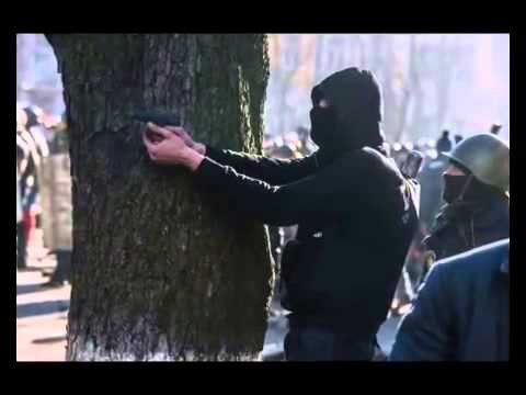 В память о "Беркуте", 