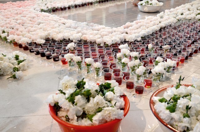 Все ахнули, когда увидели зачем художница наполнила 2000 стаканчиков с красителем