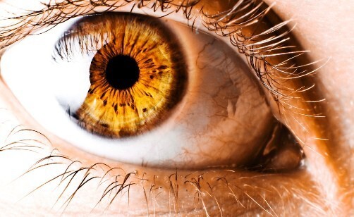 Янтарный цвет глаз: Золотые глаза