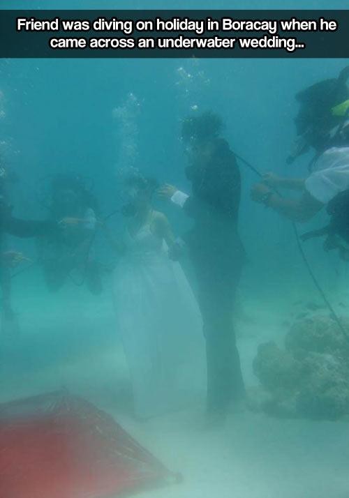 1. Дайвер случайно попал на чью-то подводную свадьбу у острова Борокай 