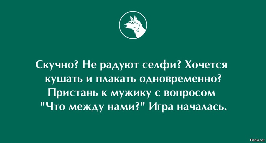 Из солянки