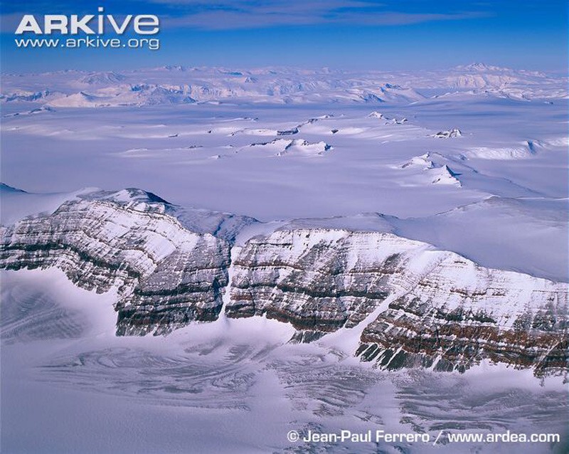  Антарктида. Transantarctic Mountains. У подножия еще видны следы техники