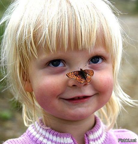 Счастье подобно бабочке