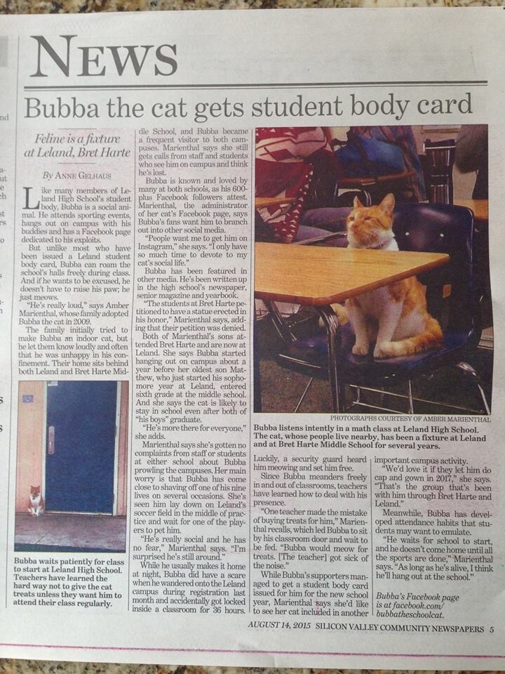 Это единственный в мире кот, который официально признан студентом