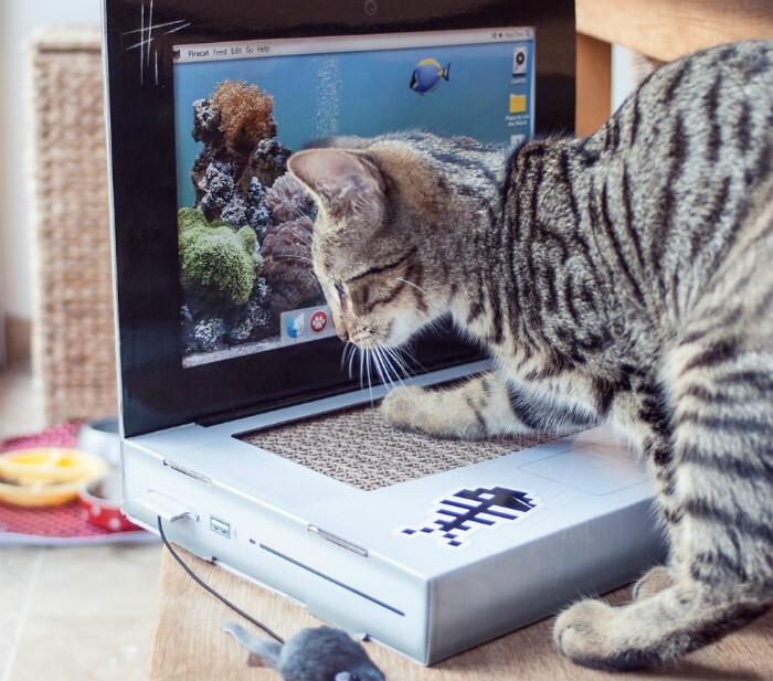Ноутбук для кошек