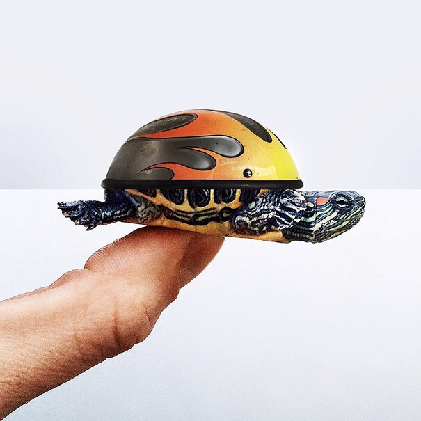 29. Шлем + черепаха
