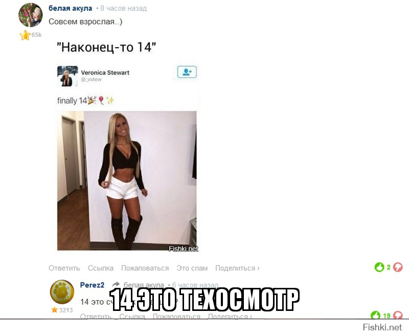 14 это техосмотр