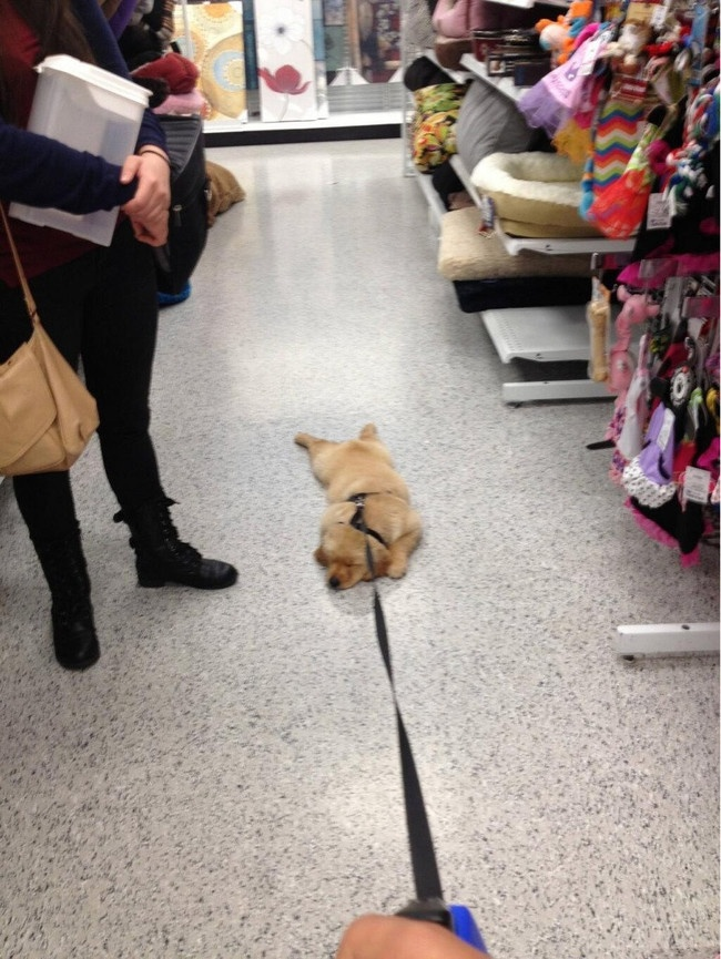 Ходить за покупками утомительно