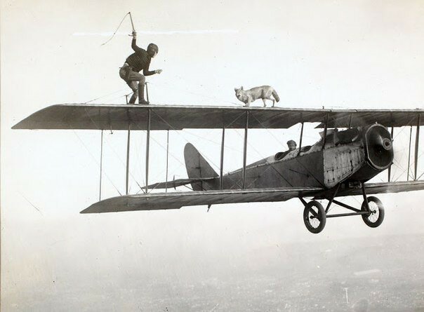 Каскадер и собака на крыльях самолета, 1920-е.