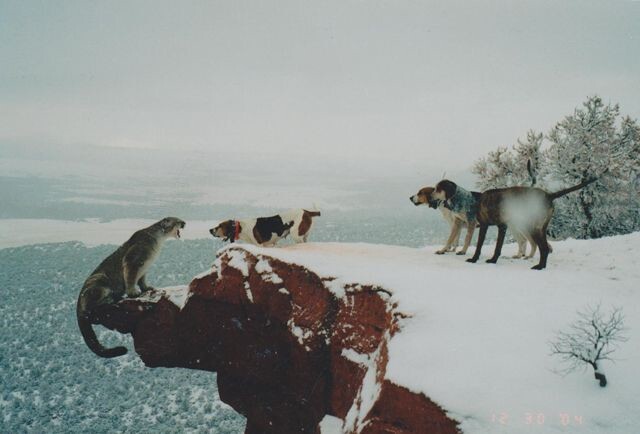 Подборка ужасно красивых фотографий