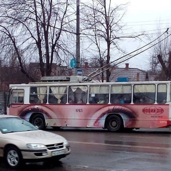 Эти глаза напротив…