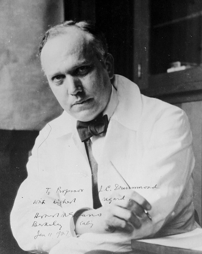 1928 — в США доктор Герберт Эванс открыл шестой витамин, соответственно и названный витамином F 