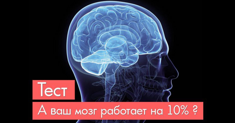 Тест, который выявит уровень работоспособности мозга (9 вопросов)