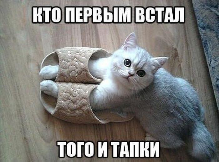 Прикольные картинки. Вечерний выпуск