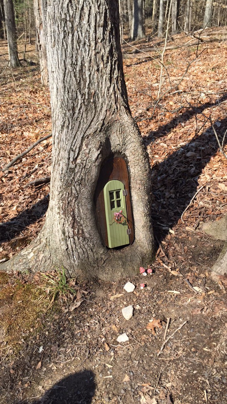 Дверца в дереве 