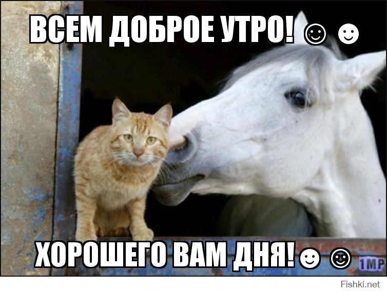 ВСЕМ ДОБРОЕ УТРО! ☺☻