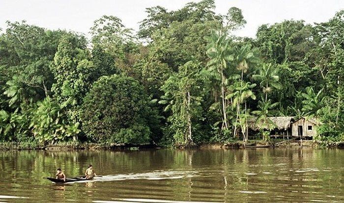 Удивительные факты об Амазонке