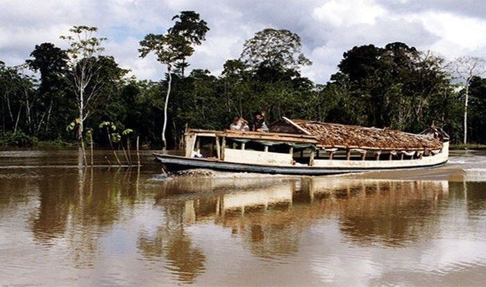 Удивительные факты об Амазонке