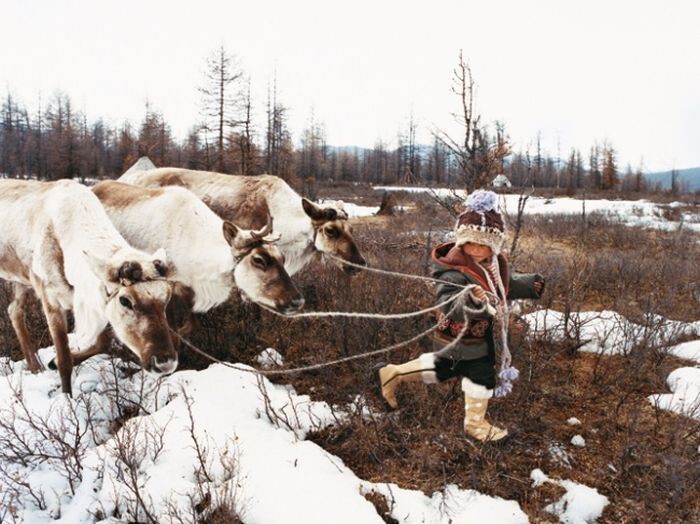 Исчезающие народы России