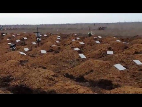 "Наглядный факт: одессит продемонстрировал масштабы потерь украинской армии.  