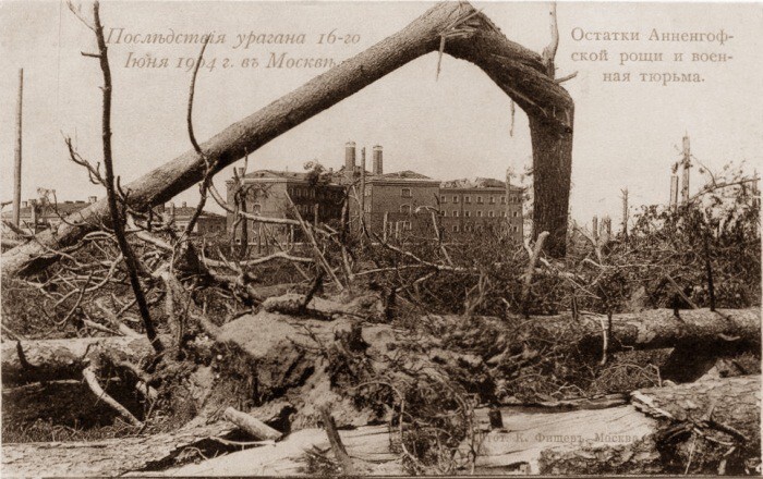 Московский смерч 29 июня 1904 года