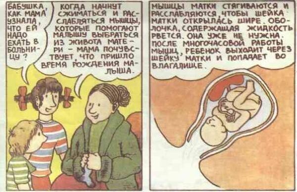 Книжка "Откуда берутся дети" с комментариями взрослых людей