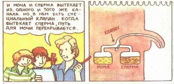 Книжка "Откуда берутся дети" с комментариями взрослых людей