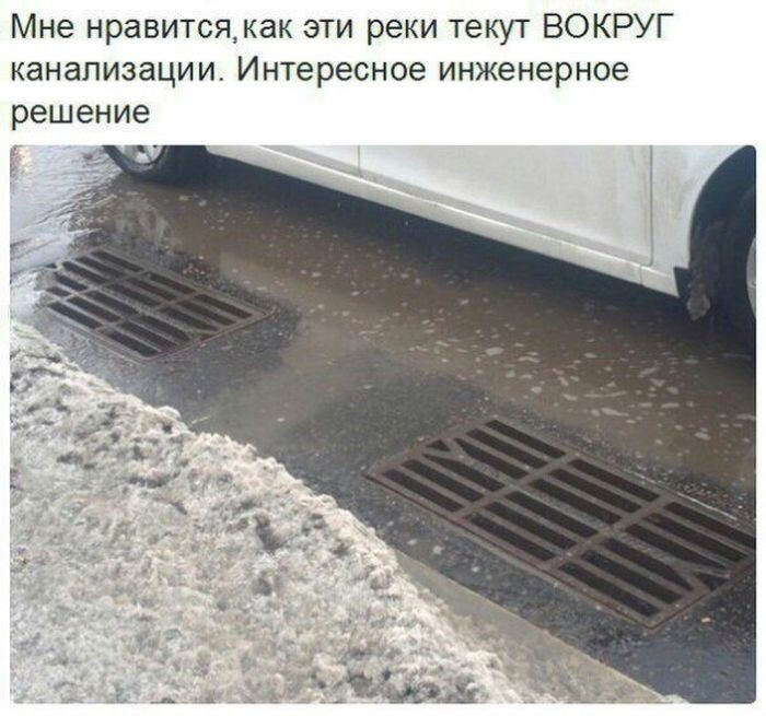 Прикольные картинки. Дневной выпуск