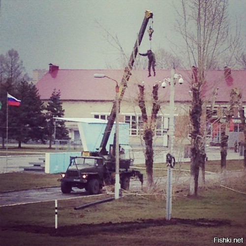 Солдат обрезает ветки деревьев