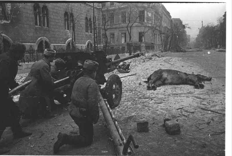 Фото войны. Восточная Европа, 1945 год