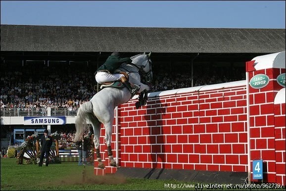 4. Как высоко прыгают лошади?