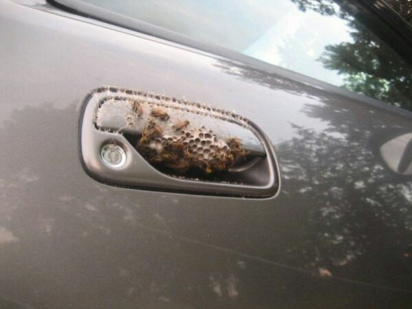 Когда долго не открывал дверь