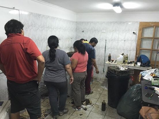 Сотрудники клиники приступили к очищению бедняги от липкой массы. 
