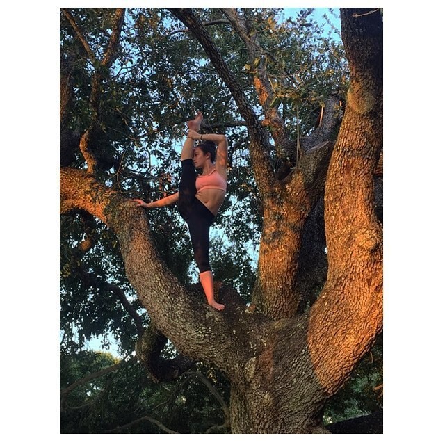 Гибкая девушка на дереве