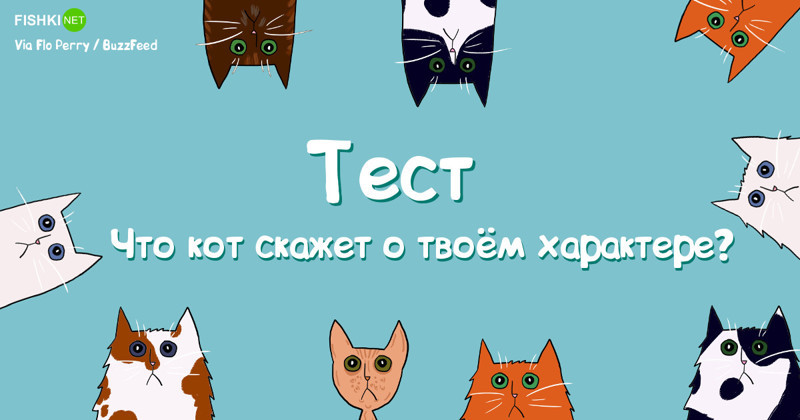 Что кот скажет о твоём характере?