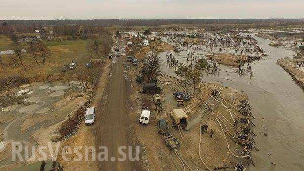 «Это даже не Гондурас. Это Судан», — украинский журналист о незаконной добыче янтаря на Волыни