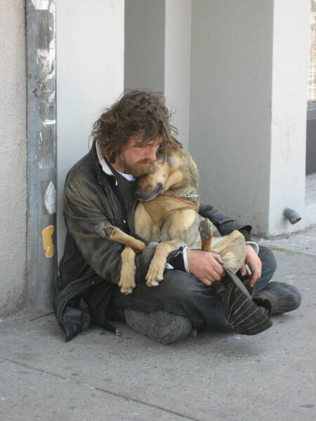 Собакам плевать на деньги, им нужна только любовь