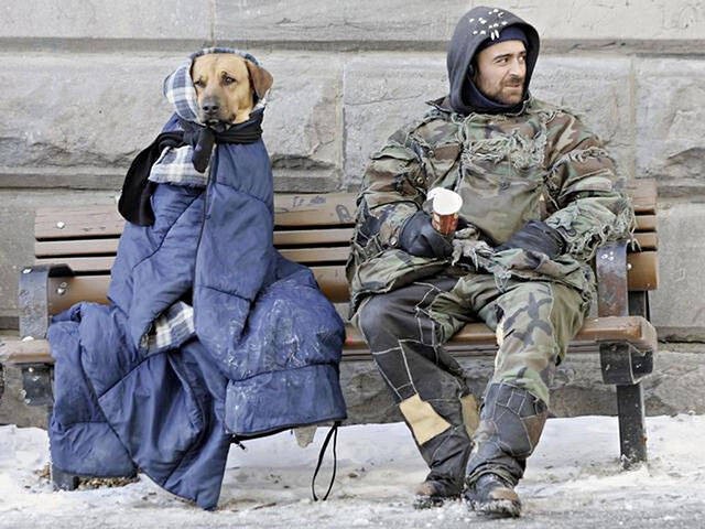 Собакам плевать на деньги, им нужна только любовь