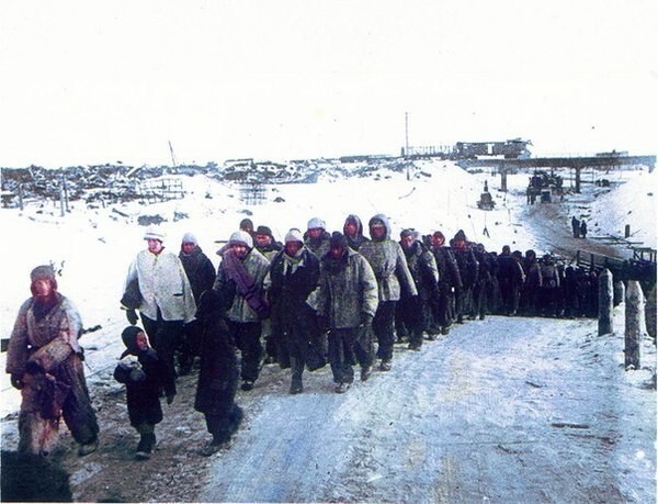 1943. Сталинград, колонна немецких военнопленных на краю города