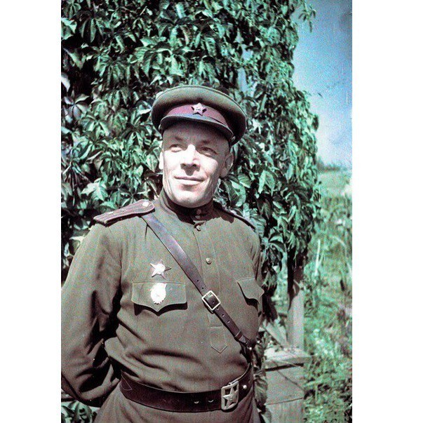 Портрет командира 89-й гвардейской стрелковой дивизии гвардии полковника Михаила Петровича Серюгина (1906—1966).