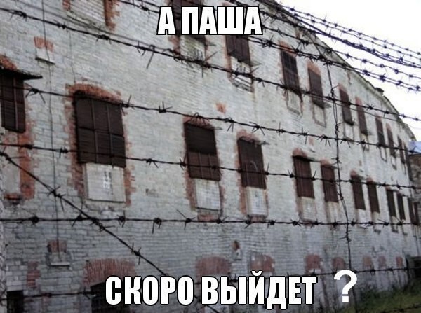 Фотоподборка для поднятия настроения