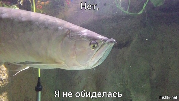 Диалог в Вконтакте: