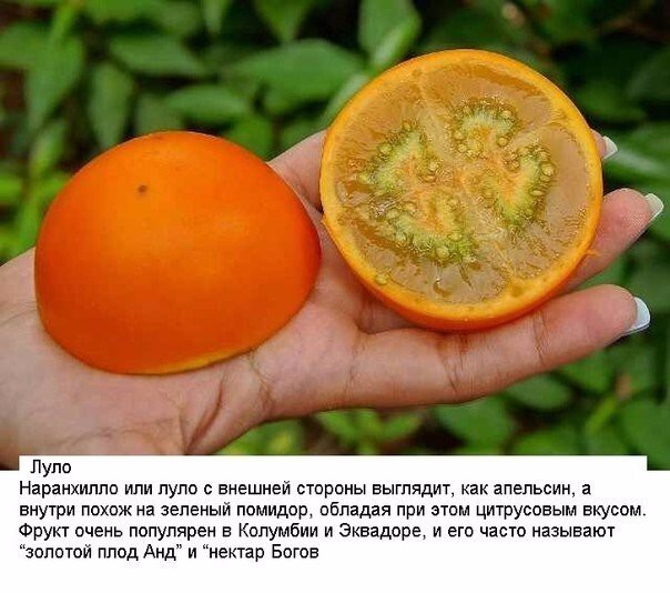 Экзотические фрукты