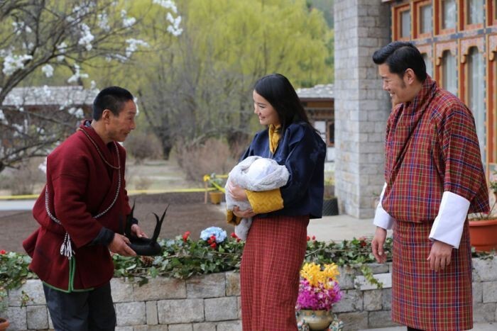 В Бутане рождение принца отпраздную высадкой леса из 108 000 деревьев
