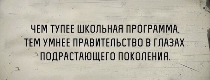 Прикольные картинки. Дневной выпуск