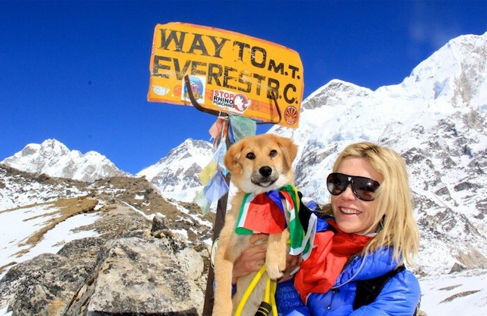 Пес-альпинист: невероятная история дворняги, побывавшей на Эвересте