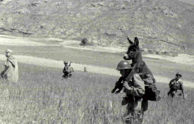 7 "Спасение рядового ослика", 1940-е. Источник: militarymodelling