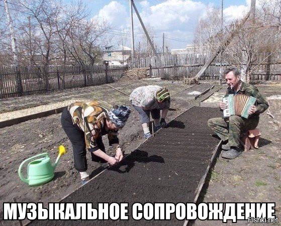 Из солянки