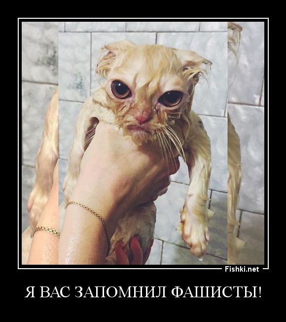 я вас запомнил фашисты!