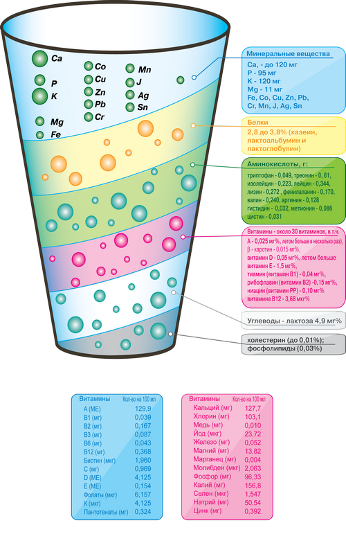 Составляющие молока. Полезные вещества в молоке таблица. Полезные вещества молока. Полезные вещества содержащиеся в молоке. Состав полезных веществ в молоке.